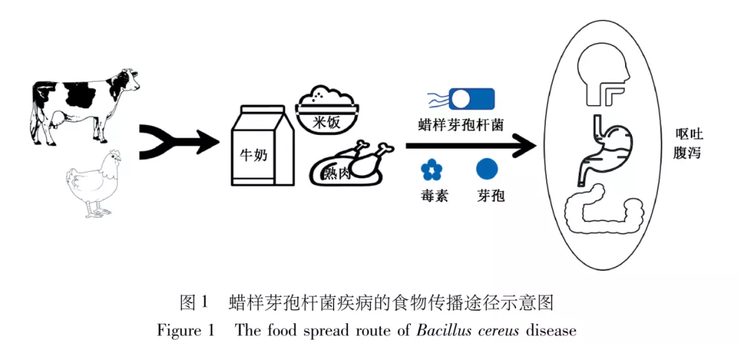 圖片 圖片