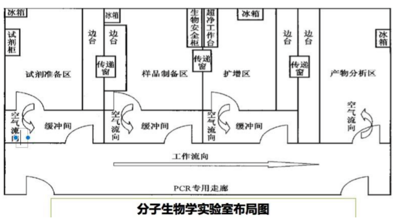 分子實(shí)驗(yàn)室布局圖.png