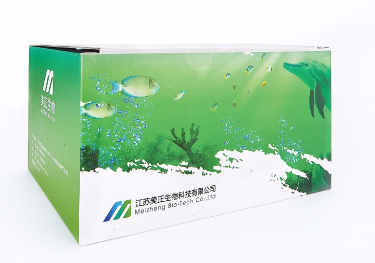 微信截圖_20250320102003.png 微信截圖_20250320102003.png